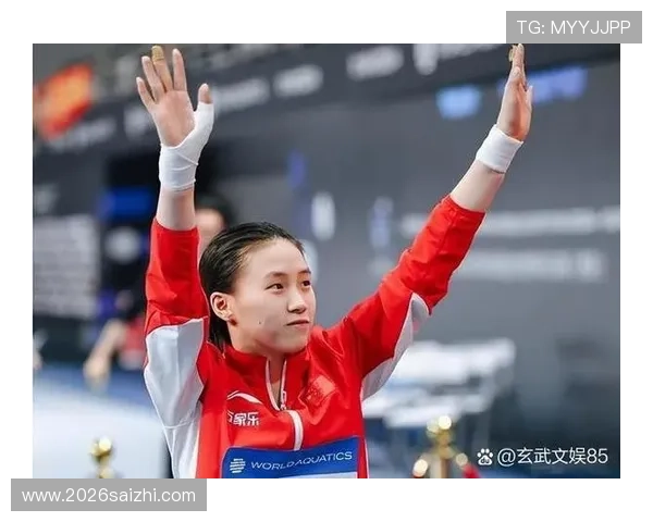 世界杯决赛现场观众体验与赛事组织，揭秘比赛背后的幕后故事与精彩细节